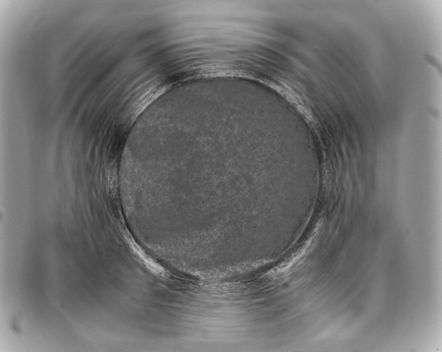 X0000096980897200802221431