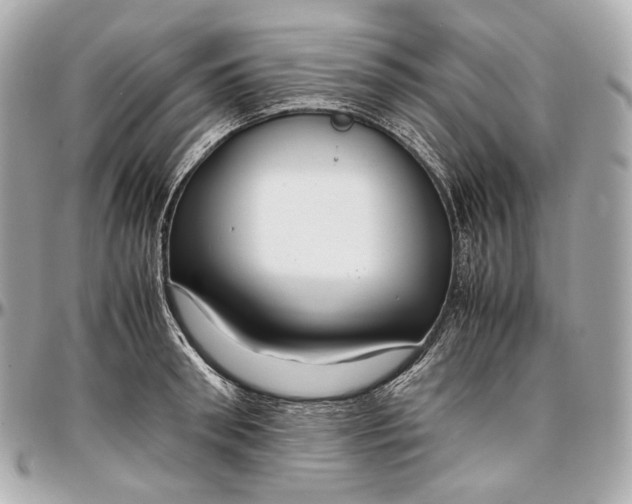 X0000096980898200802221431