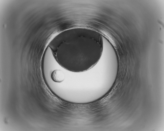 X0000096980899200802221431