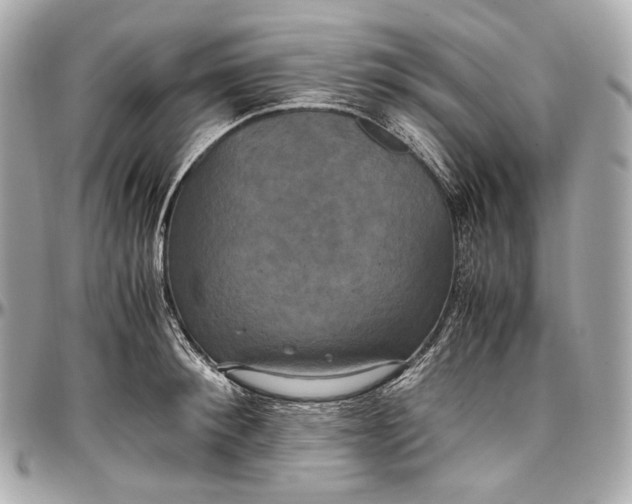 X0000096980900200802221431