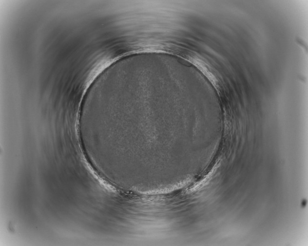 X0000096980901200802221431