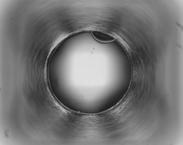 X0000096980902200802221431