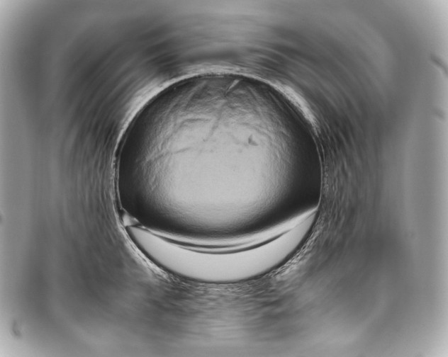 X0000096980903200802221431