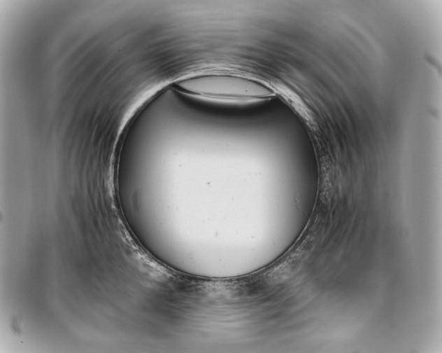 X0000096980904200802221431