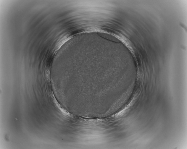 X0000096980905200802221431