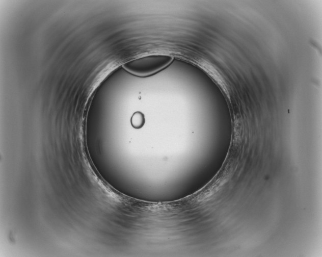 X0000096980906200802221431