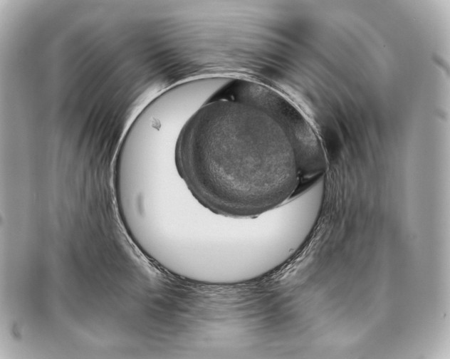 X0000096980907200802221431