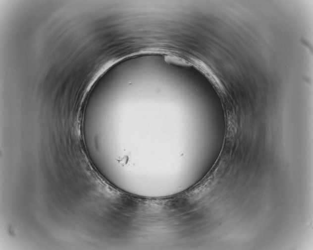 X0000096980908200802221431