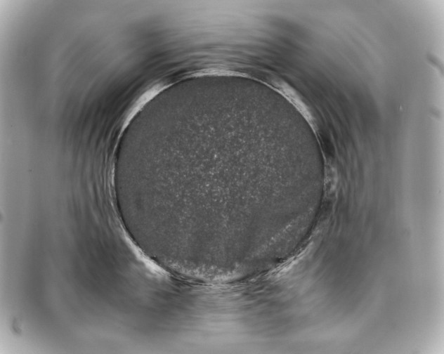 X0000096980909200802221431