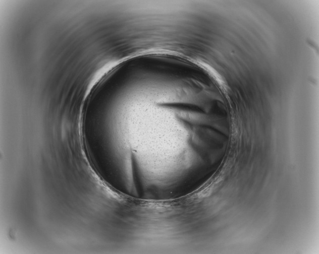 X0000096980910200802221431