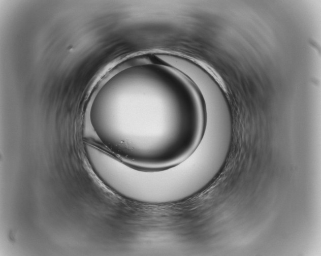 X0000096980911200802221431