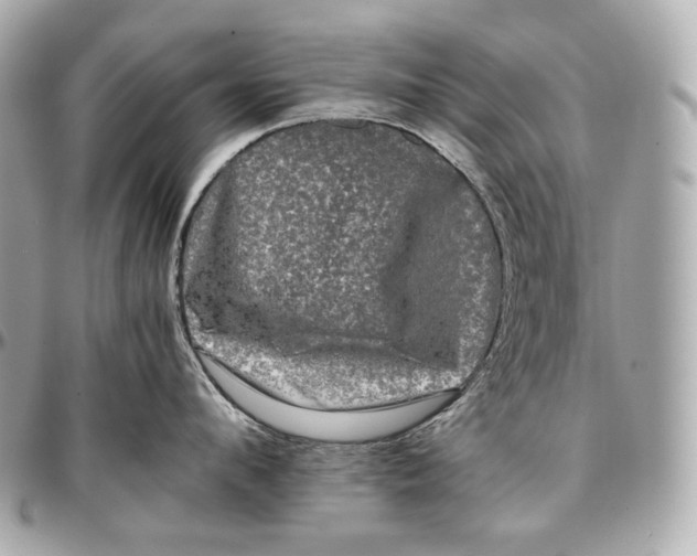 X0000096980912200802221431