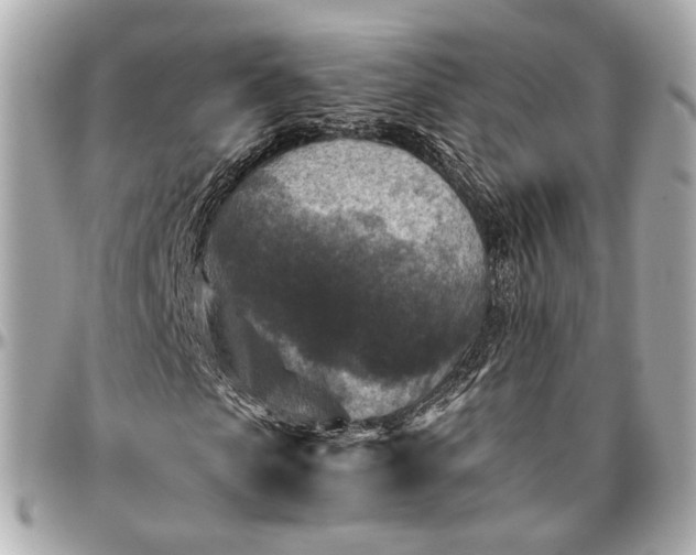 X0000096980913200802221431