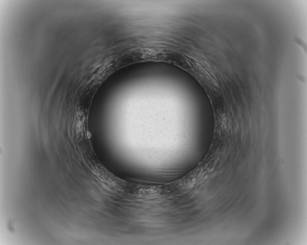 X0000096980914200802221431