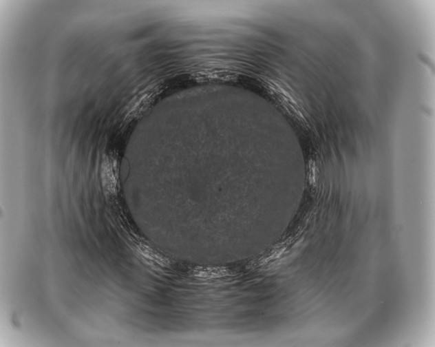 X0000096980915200802221431