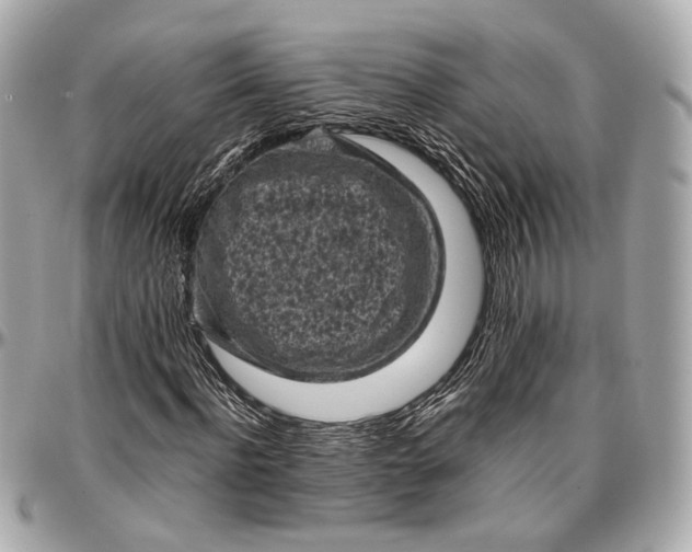 X0000096980916200802221431