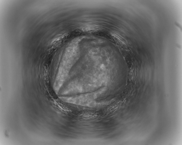 X0000096980917200802221431