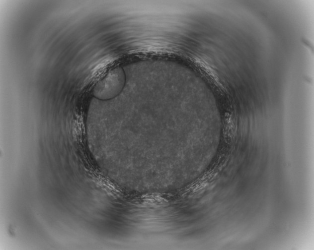 X0000096980918200802221431