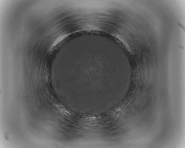 X0000096980919200802221431