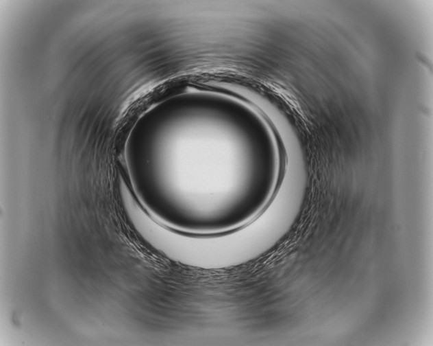 X0000096980920200802221431