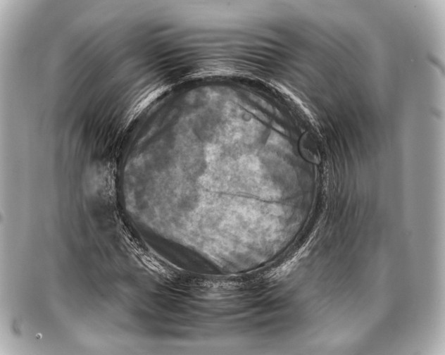 X0000096980921200802221431