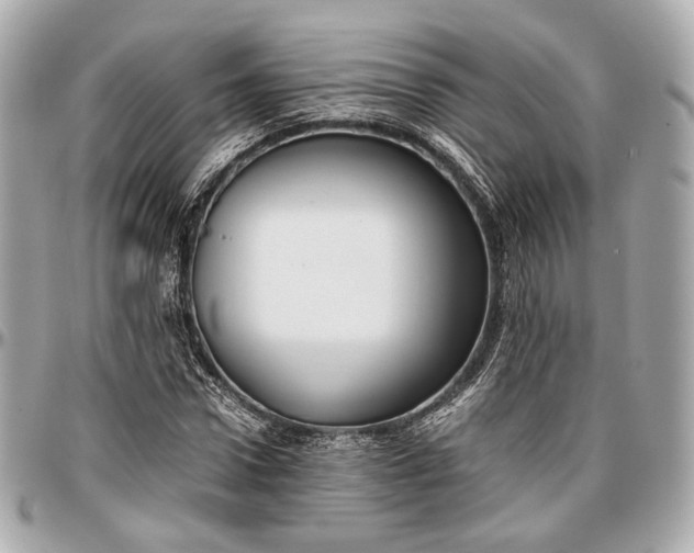 X0000096980922200802221431