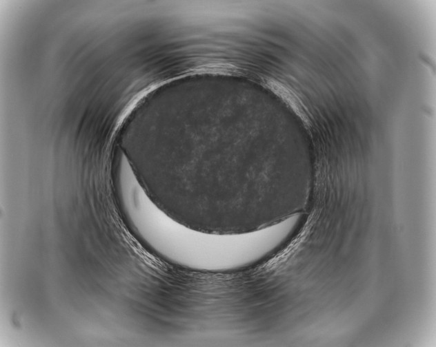 X0000096980923200802221431