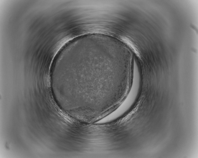 X0000096980924200802221431