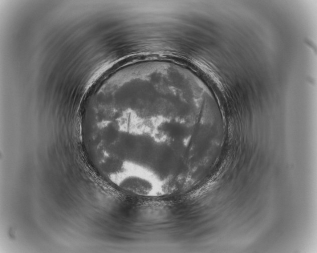 X0000096980925200802221431