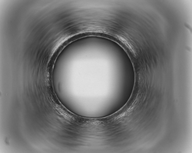 X0000096980926200802221431