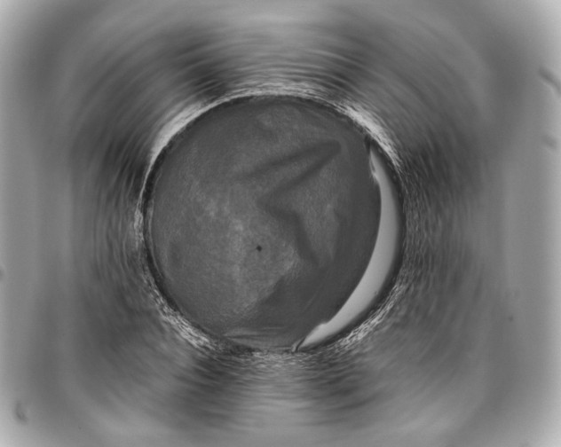 X0000096980928200802221431