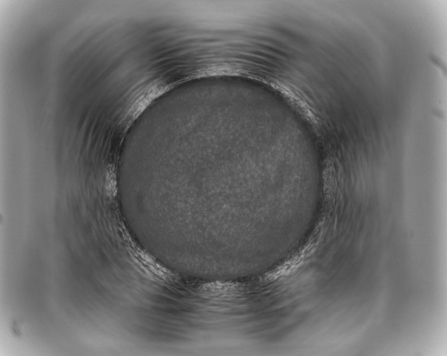 X0000096980929200802221431