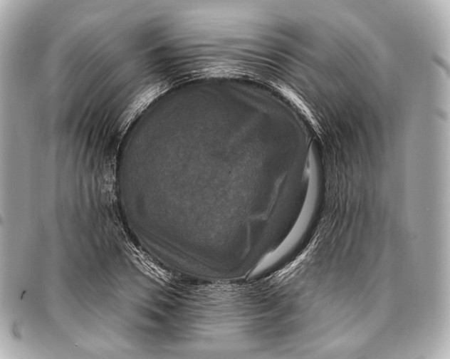 X0000096980930200802221431