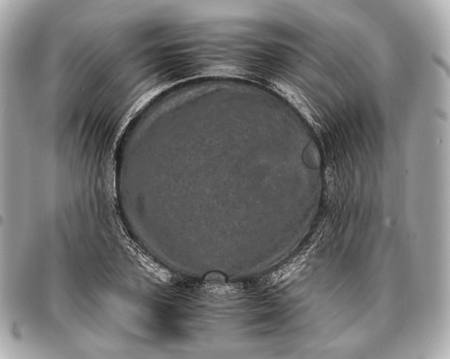 X0000096980931200802221431