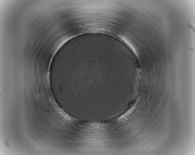 X0000096980932200802221431