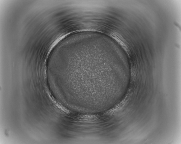 X0000096980933200802221431