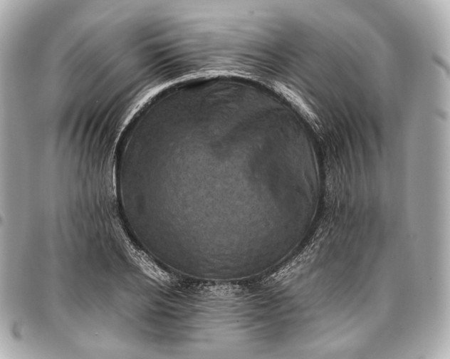 X0000096980934200802221431