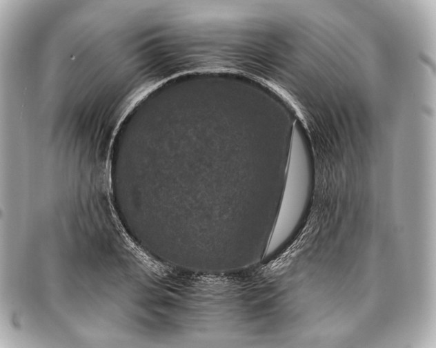 X0000096980935200802221431