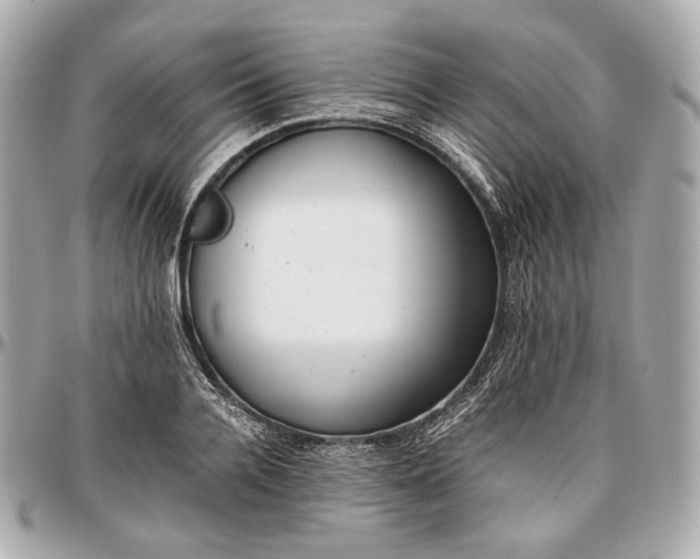 X0000096980936200802221431