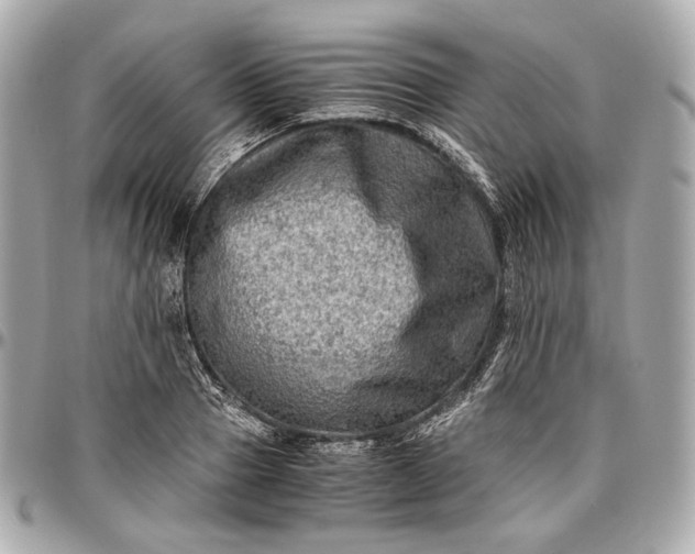 X0000096980937200802221431