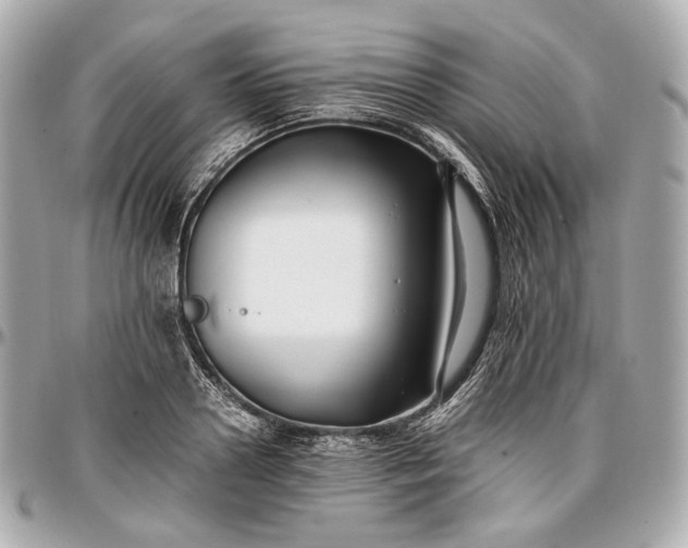 X0000096980938200802221431