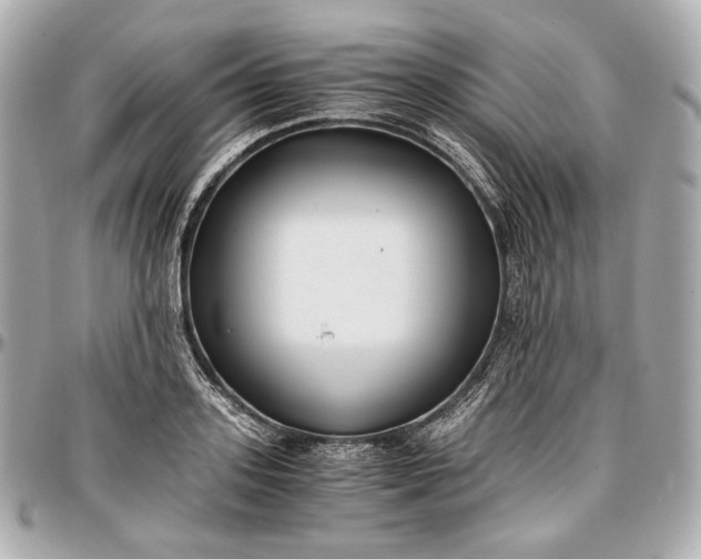 X0000096980939200802221431