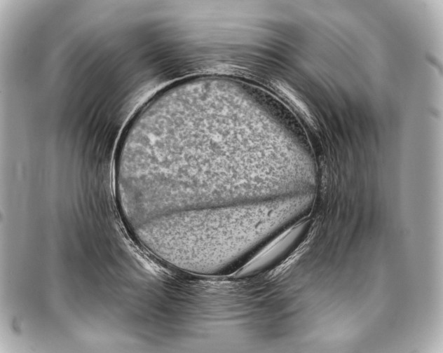 X0000096980940200802221431