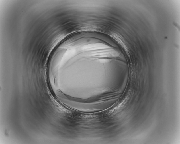 X0000096980941200802221431