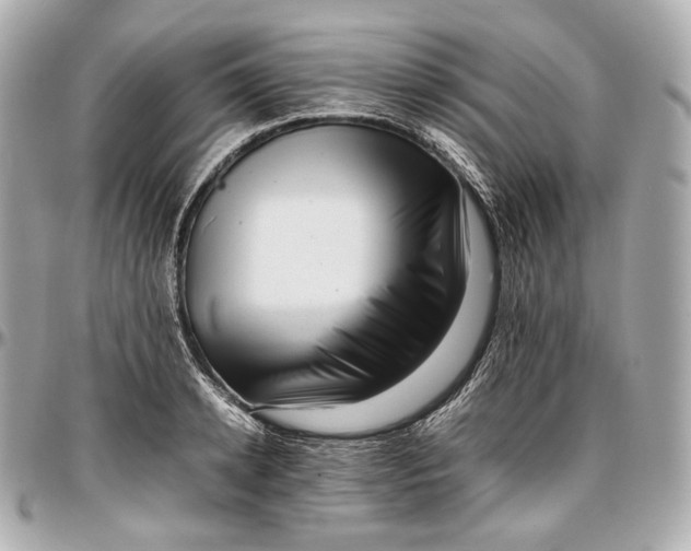 X0000096980942200802221431