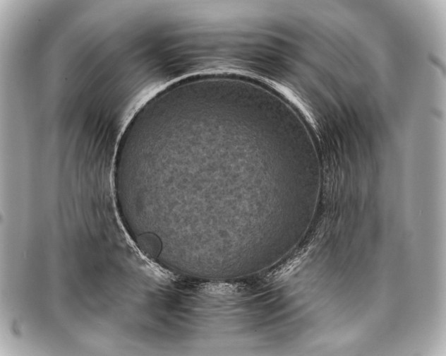 X0000096980943200802221431