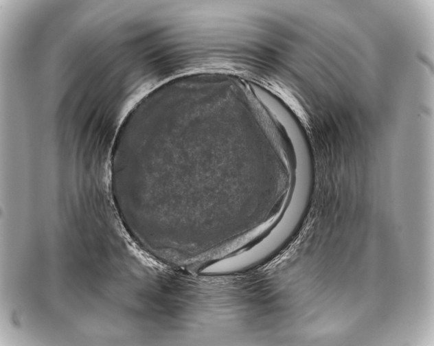 X0000096980944200802221431