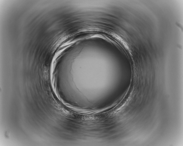 X0000096980945200802221431