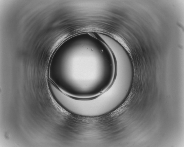 X0000096980946200802221431