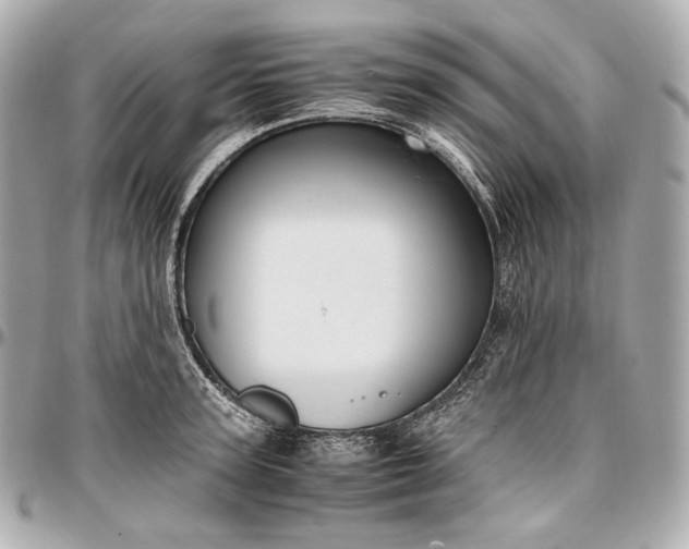 X0000096980947200802221431